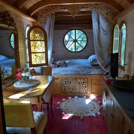 La Roulotte Du Petit Paradis Saint-Rémy-de-Provence Esterno foto