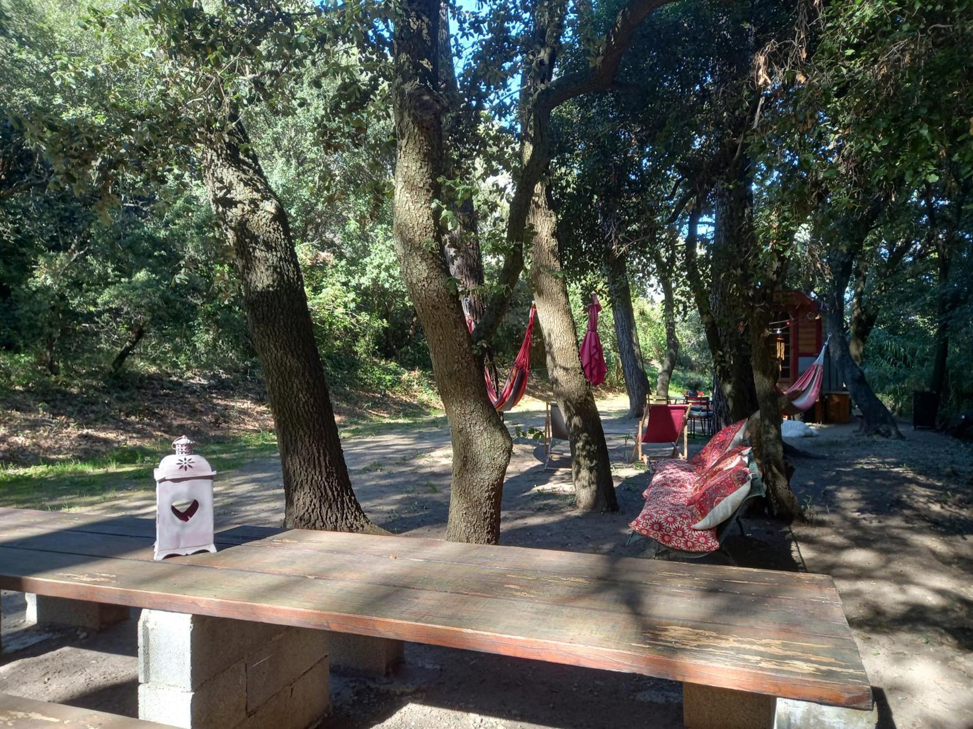 La Roulotte Du Petit Paradis Saint-Rémy-de-Provence Esterno foto