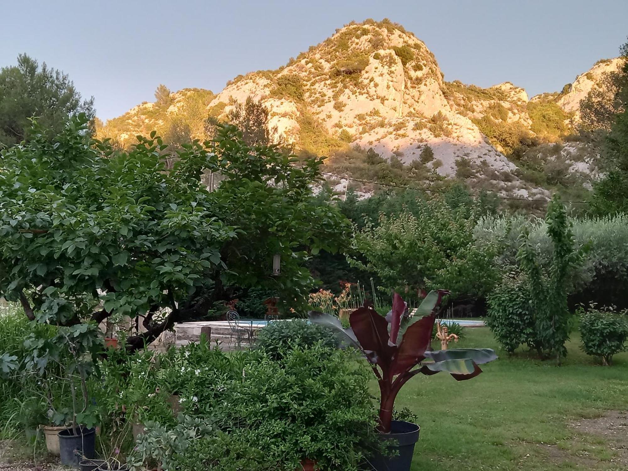 La Roulotte Du Petit Paradis Saint-Rémy-de-Provence Esterno foto