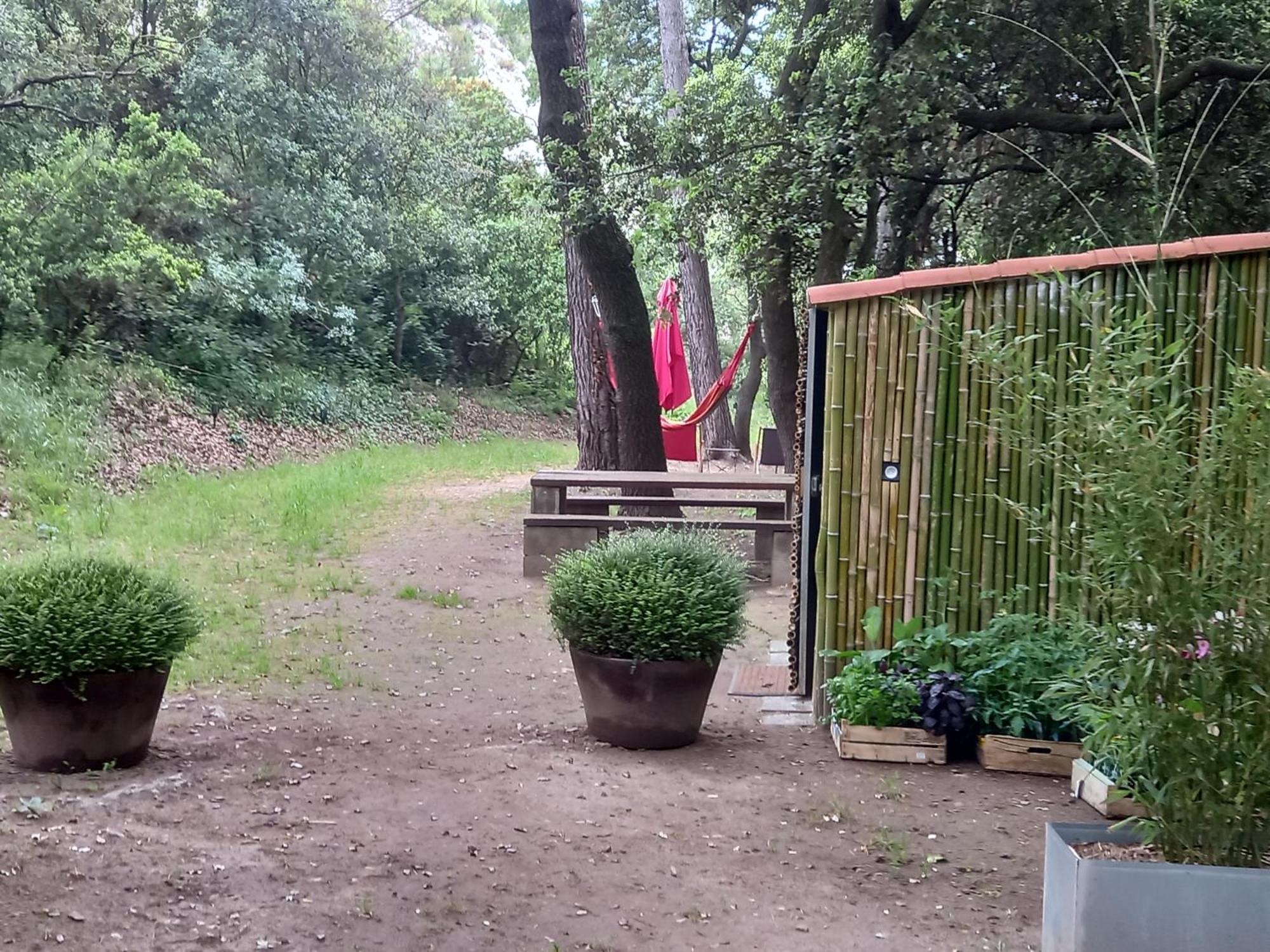 La Roulotte Du Petit Paradis Saint-Rémy-de-Provence Esterno foto