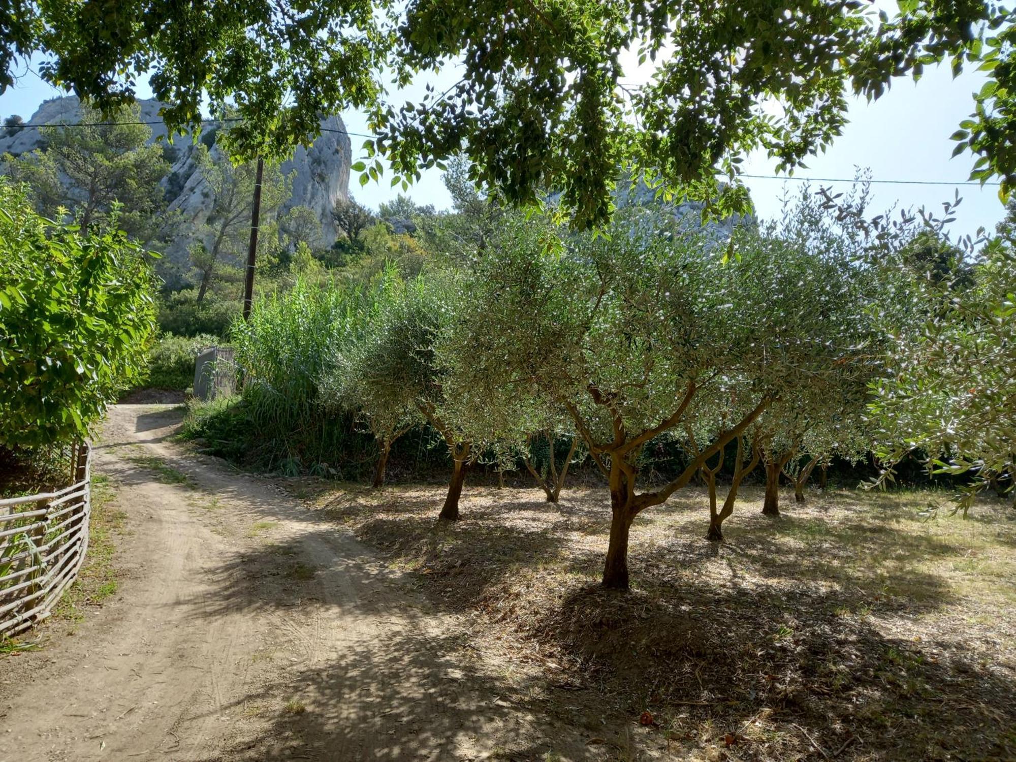 La Roulotte Du Petit Paradis Saint-Rémy-de-Provence Esterno foto