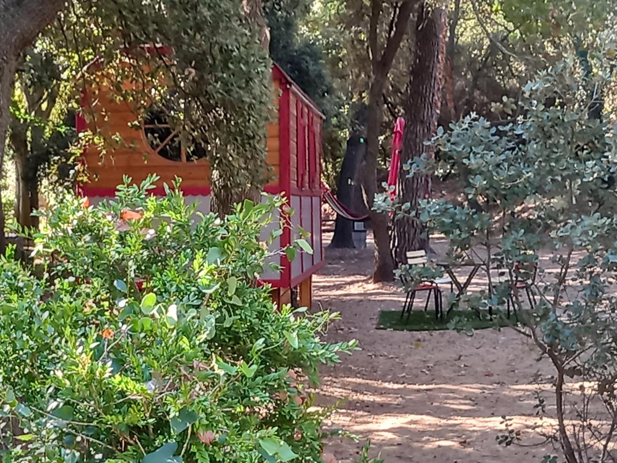 La Roulotte Du Petit Paradis Saint-Rémy-de-Provence Esterno foto